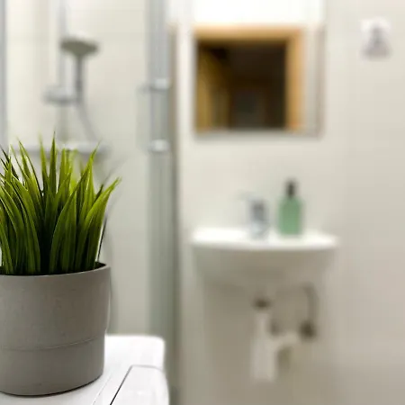 Mmrent Desert Gdańsk