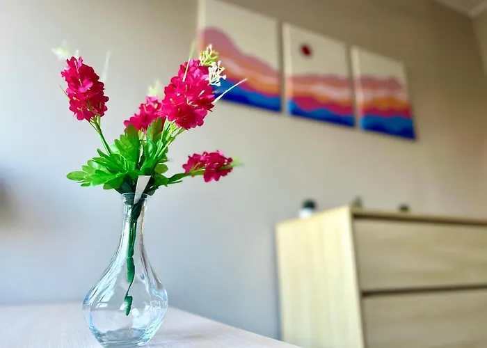 Mmrent Desert Проживание в семье Гданьск